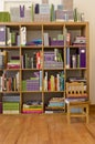 Bookshelf full of books in a modern bookstore