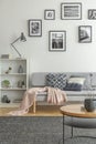 Bookshelf with knick knacks next to comfortable grey sofa in chic living room Royalty Free Stock Photo