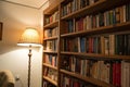 Bookshelf on the wall with lamp and books Royalty Free Stock Photo
