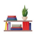 Bookshelve with books and potted plant