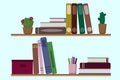 Bookshelves with books and catuses Royalty Free Stock Photo