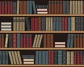 Bookshelves with books. Seamless background Royalty Free Stock Photo