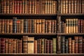 Bookshelves in the library. Large bookcase with lots of books. Sofa in the room for reading books. Library or shop with Royalty Free Stock Photo