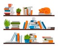 Bookshelves. Shelf in library room. Place for storage books. Rack with stacks of textbooks or notepads, flower pots and Royalty Free Stock Photo