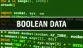 Boolean data with Binary code digital technology background. Abstract background with program code and Boolean data. Programming Royalty Free Stock Photo