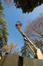 Boom Lift Royalty Free Stock Photo