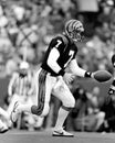 Boomer Esiason, Cincinnati Bengals Royalty Free Stock Photo