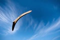 A boomerang in flight