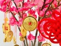 Booming business golden copper coins, and charms hanging on peach blossom branches. select focus.