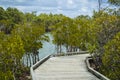 Boondall Wetland Walkway