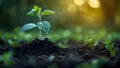 Boost crop production through environmentally friendly irrigation methods on sustainable farms to