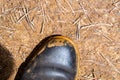 Boot dirtied by ochre. Paint pots, Kootenay National Park