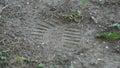 Boot foot print in the soft sand. Royalty Free Stock Photo