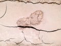 Boot footprint on the dried clay surface. Cracked dry soil with shoeprint. Shoe marks on clay soil. Royalty Free Stock Photo