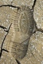 Boot Print On Cracked Mud