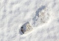 Boot print in fresh snow Royalty Free Stock Photo