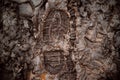 A boot print in the mud close-up. Footprint in the dirt. Bottom of shoes.