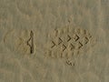 Boot print in the sand Royalty Free Stock Photo