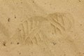 Boot print in the sand Royalty Free Stock Photo