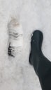 The boot print in the snow Royalty Free Stock Photo