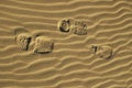 Boot prints on dune Royalty Free Stock Photo