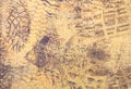 Boot prints on the old painted surface Royalty Free Stock Photo