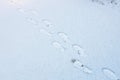 boot prints in the snow, snow surface with footprints Royalty Free Stock Photo