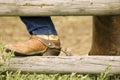 Boot with spur on rail fence