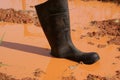 Boot Stuck in the Mud Royalty Free Stock Photo