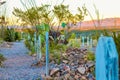 Boothill Graveyard in Tombstone Arizona