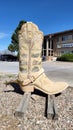 Boots of Cheyenne Springtime in Cheyenne Artist Rose Burrows