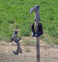 Boots on a Fence