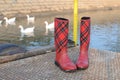 Boots and Geese Royalty Free Stock Photo