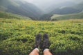 Boots of lonely tourist on lush blueberry bushs Royalty Free Stock Photo