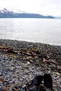 Boots on Rocky Shore Alaska Royalty Free Stock Photo