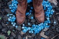 boots standing with a circle of forgetmenots Royalty Free Stock Photo