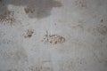 Dirty footprint of ground, boots walked on cement, detail of track