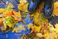 Boots on yellow autumnal leaves and pool. Rainy weather