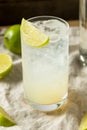 Boozy Alcoholic Lime Gin Rickey Cocktail