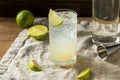 Boozy Alcoholic Lime Gin Rickey Cocktail