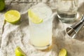 Boozy Alcoholic Lime Gin Rickey Cocktail