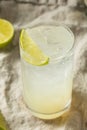 Boozy Alcoholic Lime Gin Rickey Cocktail