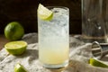 Boozy Alcoholic Lime Gin Rickey Cocktail