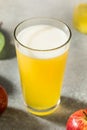 Boozy Cold Hard Apple Cider Royalty Free Stock Photo