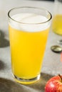 Boozy Cold Hard Apple Cider Royalty Free Stock Photo