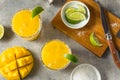 Boozy Cold Mango Margarita Cocktail Royalty Free Stock Photo