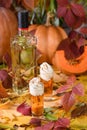 Boozy Pumpkin Pie Shooters Royalty Free Stock Photo