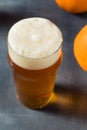 Boozy Refreshing Autumn Pumpkin Beer Ale Royalty Free Stock Photo