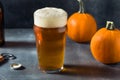 Boozy Refreshing Autumn Pumpkin Beer Ale Royalty Free Stock Photo