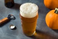 Boozy Refreshing Autumn Pumpkin Beer Ale Royalty Free Stock Photo